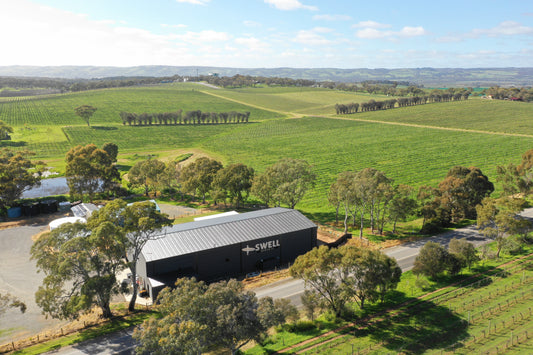 An insider's guide to eating and drinking around McLaren Vale